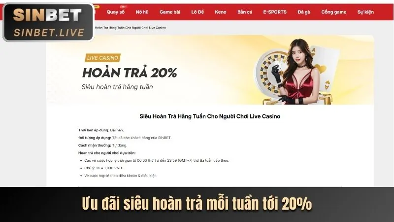 Biểu ngữ khuyến mãi chào mừng thành viên mới cá cược thể thao shbeet